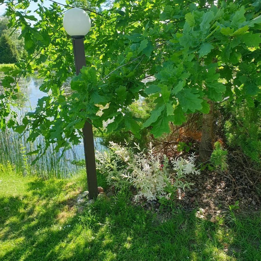 Brivdienu Maja Amatnieki Kuldīga Eksteriør billede